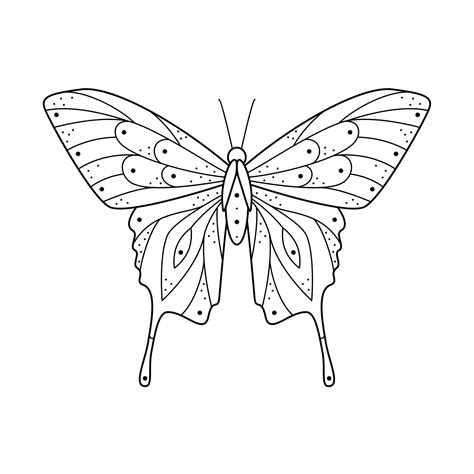 Premium Vector Stylized Black Line Art Butterfly Hand Drawn Linear