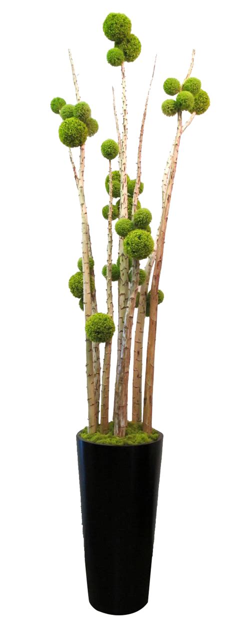 The life and times of botanic republic. Vase PNG Images Transparent Free Download | PNGMart.com