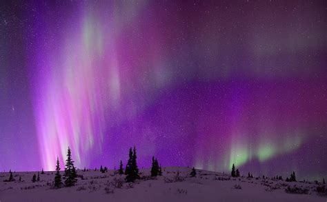The Elusive Purple Aurora Aurora Borealis Painting Northern Lights