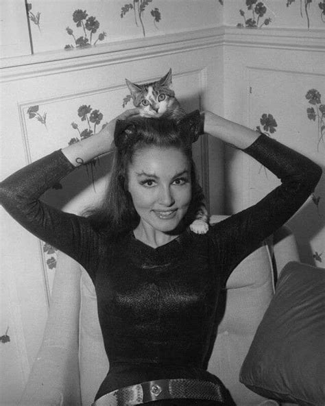 Monroe🌹 Julie Newmar Sexy Catwoman Catwoman Cosplay