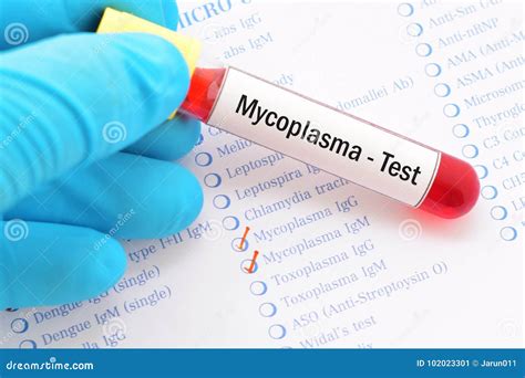 Mycoplasma Lab Test Mycoplasma Pneumoniae Test Brilnt