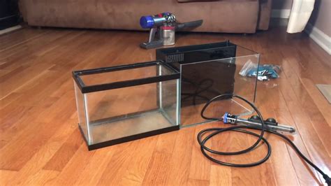 Quarantine Tank Setup For Coral How To Prevent Ich In Saltwater