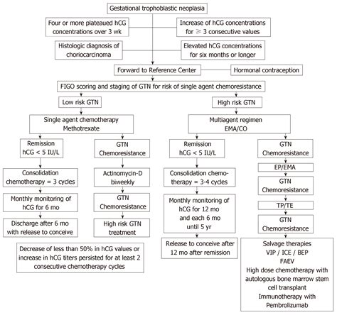 These tumours are rare, and they appear when cells in the womb start to proliferate uncontrollably. Challenges in the diagnosis and treatment of gestational ...