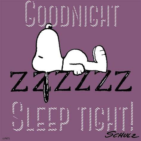 Sleep Tight Snoopy Fictional Characters Sleep Tight