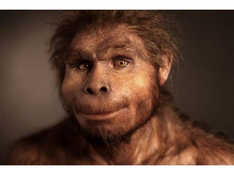 Homo Erectus Elisabeth Dyanes Ancient Faces Pinterest