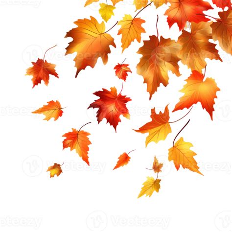 Autumn Falling Leaves Isolated 27546618 Png
