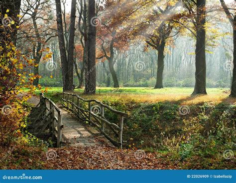 Path Through Enchanted Autumn Park Stock Image Image Of Park Season