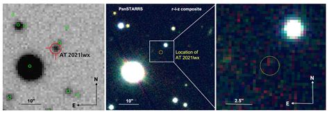 Uncovering a star's demise: Supermassive black hole tears apart a giant