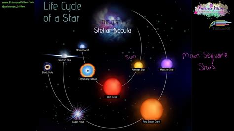 Eli5 Why Do We Classify The Life Cycle Of A Star As A Life Cycle