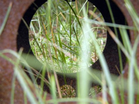 View Of Narrow Grass Through A Round Hole Stock Image Image Of Long Small 241467319
