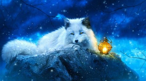 Cute Fox Anime Wallpapers Wallpaper Cave