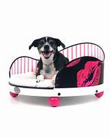 Photos of Fancy Pet Beds For Dogs