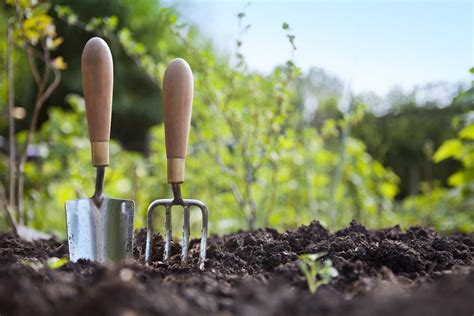 The Best Health Benefits Of Gardening Pricai04