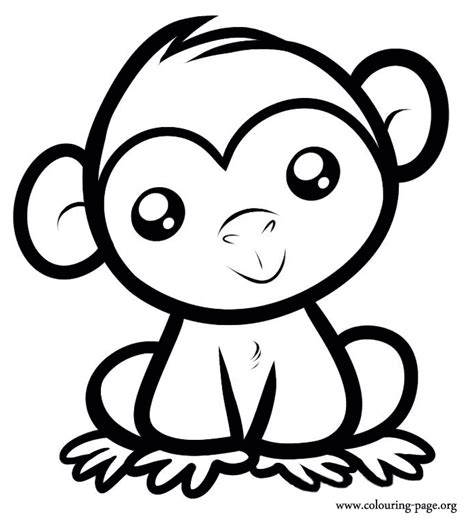 290314 Special Little Monkey Monkey Coloring Pages Easy Animal