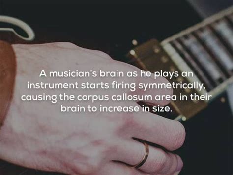 Interesting Facts About Music 20 Pics