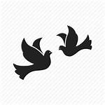 Icon Bird Dove Flying Fly Flight Birds