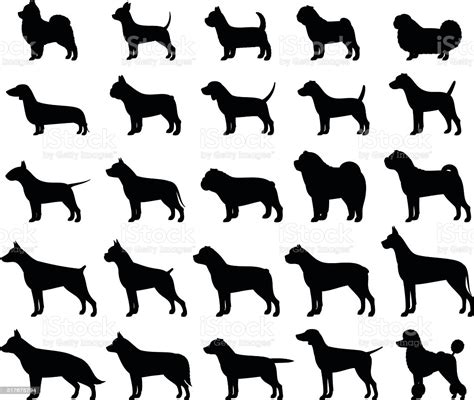 Vector Dog Breeds Silhouettes Collection Isolated On White Stock Vector