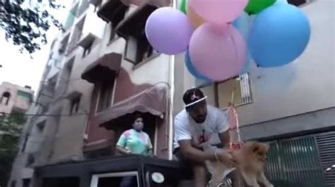Youtuber Posts Video Of Dog Flying With Helium Balloons Arrested The