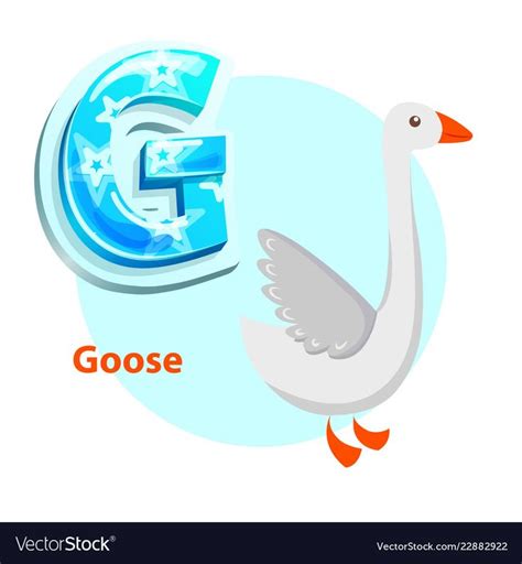 Letter G For Goose Cartoon Alphabet For Children Volume Symbol With