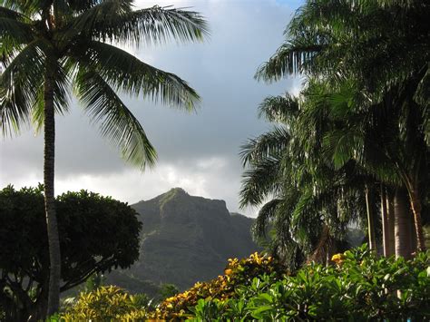 Mountain View Big Island Vacation Homes | Beach House Rentals in Hawaii