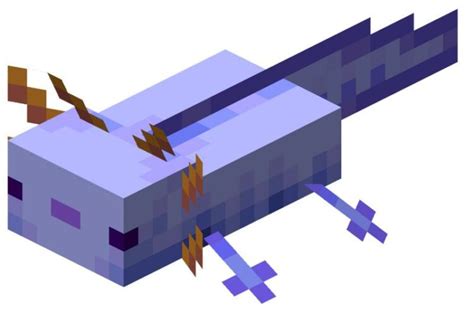 To spawn in a leucistic (pink) axolotl use the variant nbt tag. Minecraft Axolotl - Where To Find, How To Tame And Breed ...