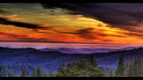 Awesome Forest In Sunset Hdr 1920 X 1080