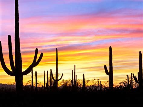 Looking for a great trail in phoenix sonoran desert preserve, arizona? Southern Arizona