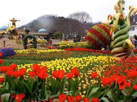 South Korea Travel Experience — 20 Famous Places And Top