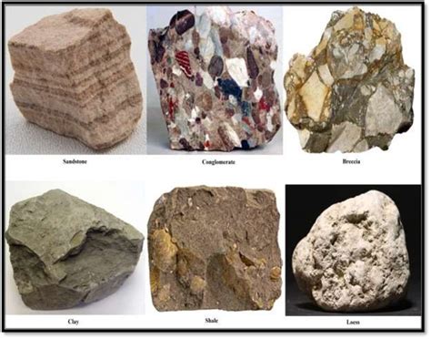 Sedimentary Rocks Meaning Types And Formation Academistan