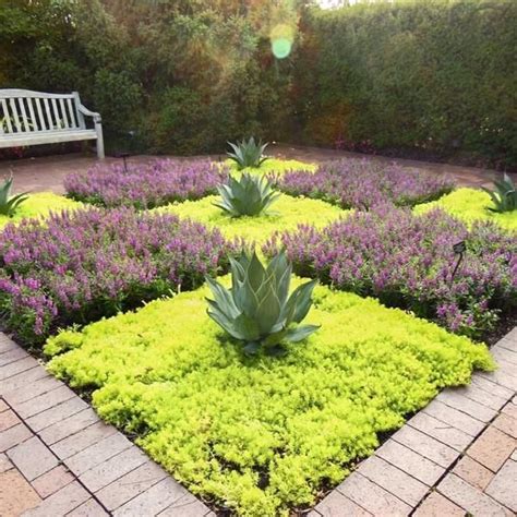 Desert Landscaping Ground Cover Plants Ground Cover Is Best
