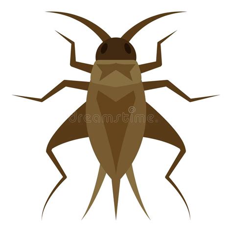 Cricket Bug Stock Illustrations 3046 Cricket Bug Stock Illustrations