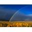 Mono County Double Rainbow – California Fall Color