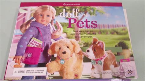 American Girl Brand Doll Pets Doll Craft Book See Inside The Book