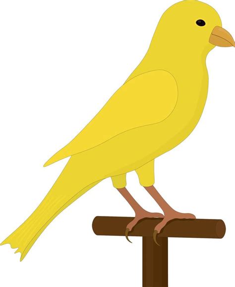Canary Bird Vector Art Icons And Graphics For Free Download