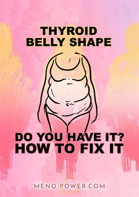 Thyroid Belly Shape How To Fix Your Thyroid And Lose Weight