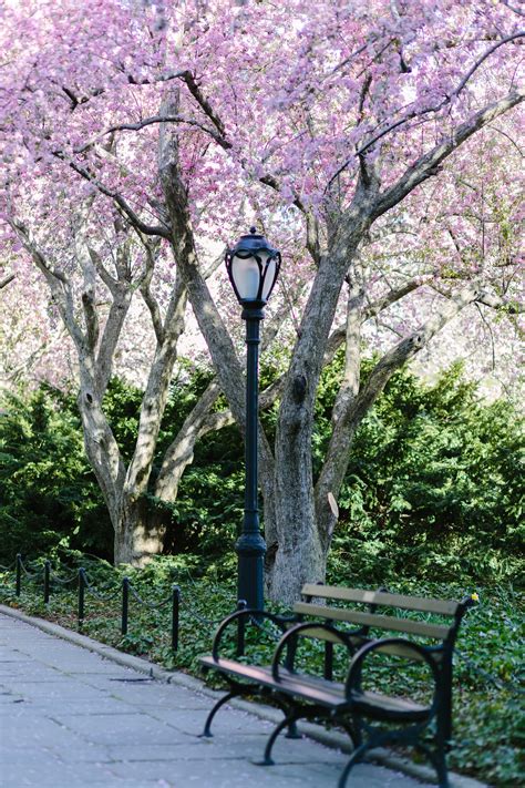 5 Reasons To Visit The Central Park Conservatory Garden In Spring