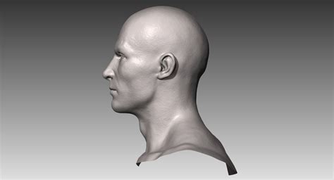 Realistic White Male Head 3d Model Obj Ztl