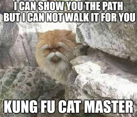 Kung Fu Cat Imgflip