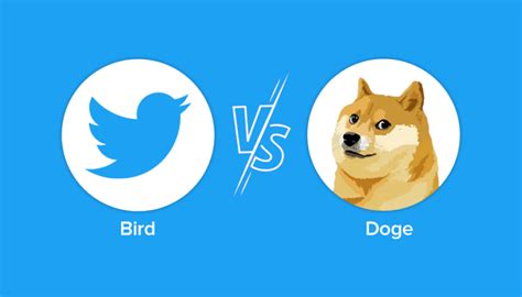 Bird Vs Doge The Story Behind Twitters Controversial Logo Change