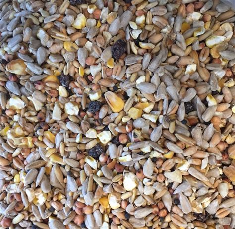 Superior Wild Bird Seed With Fruit Wheat Free 20kg Bunkers Hill