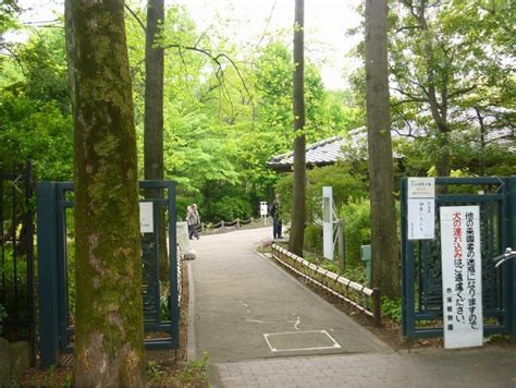 赤塚植物園 - 都内散歩 散歩と写真