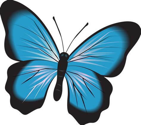 Schmetterling Blau Clipart Kostenloses Bild Auf Pixabay
