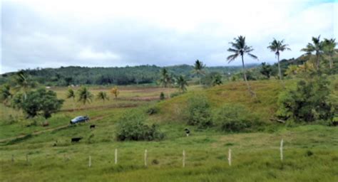 Agricultural Freehold Land Fiji Southpacificrealestate