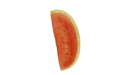 Spinning Watermelon Gifs Find Share On Giphy