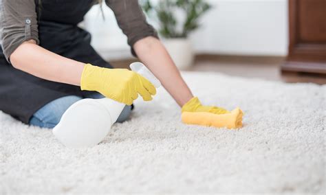 The Super Simple Guide To Deep Cleaning Gross Carpets 21oak