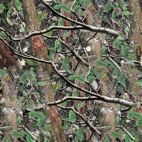 Hunting Camouflage Pattern 4 Digital Art By Jared Davies