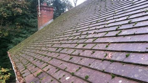 Homeowners can expect to pay $8 to $25 per square foot. Cost/Price to Replace Broken Roof Tiles