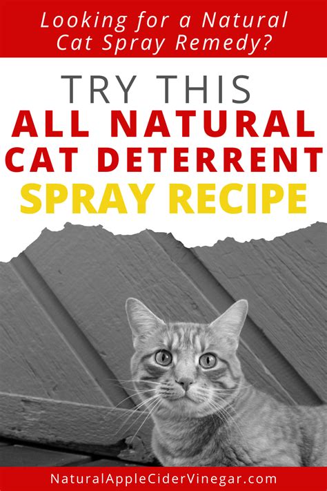 The vinegar also has the handy if the issue is that the cat is scratching the furniture, then you need to provide them with an alternative (ie. The Best All Natural Cat Deterrent Spray Recipe in 2020 ...