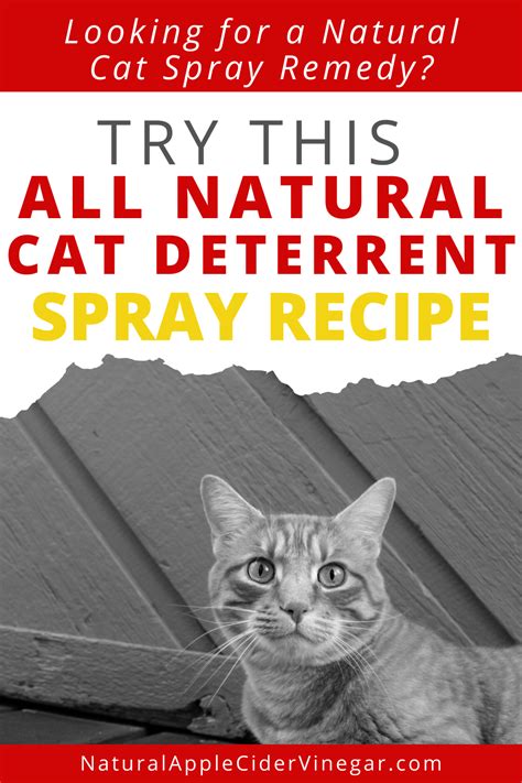 Shop the top 25 most popular 1 at the best prices! The Best All Natural Cat Deterrent Spray Recipe in 2020 ...