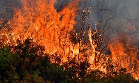 Χωρις ηλεκτρικο ρευμα μεγαλο μερος του νησιου. Φωτιά σε δασική έκταση στη Ρόδο | in.gr